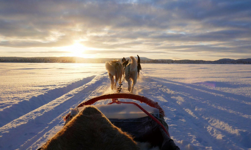 Husky Riding in Levi Finland-Lapland via Scandinavian Travel Group